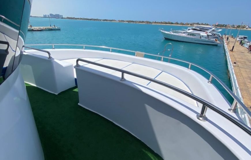 Dolphins Trips : HURGHADA