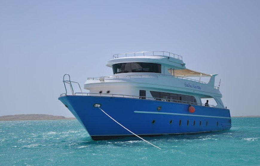 Dolphins Trips : HURGHADA