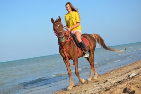 HORSE RIDING : HURGHADA